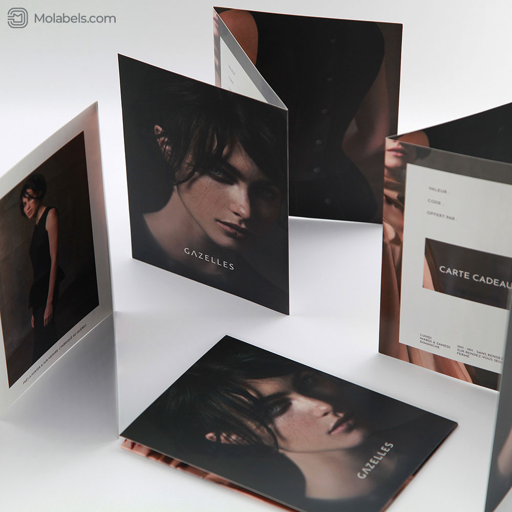 Tri fold brochure printing price